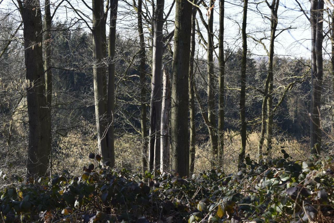 ホテル De Pastorie ボルフローン エクステリア 写真